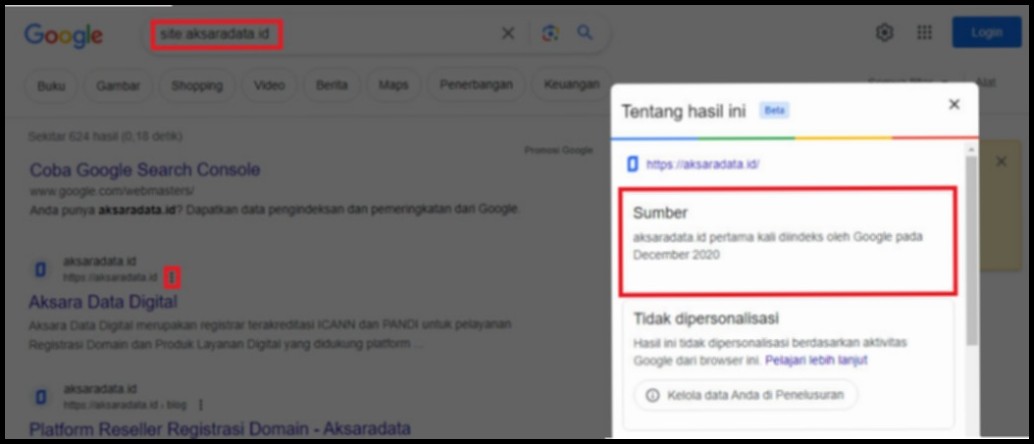 Cara Cek Umur Domain Panduan Lengkap untuk Reputasi Website