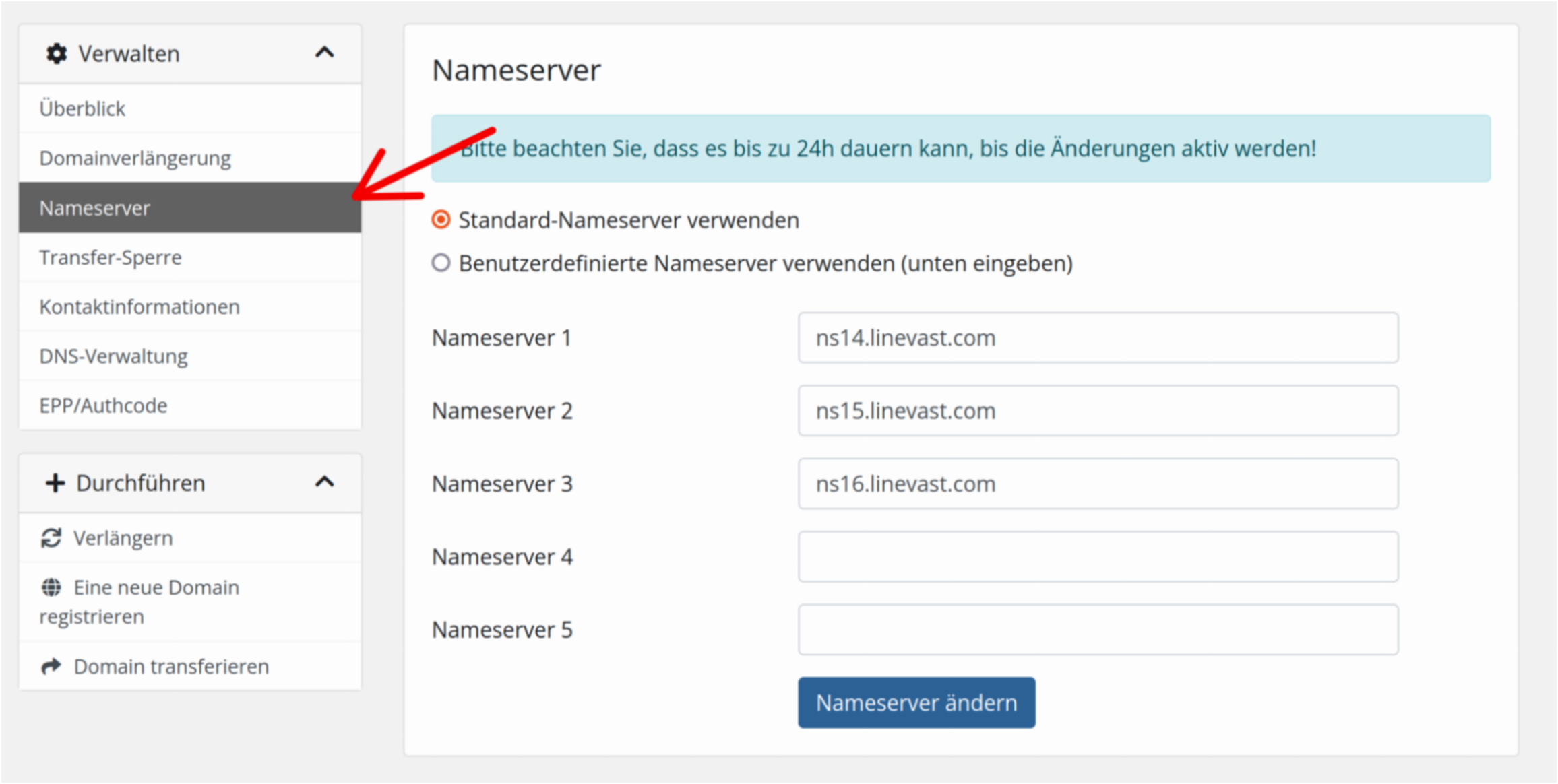 Nameserver Domain Jembatan Penting Antara Nama dan Alamat Website Anda