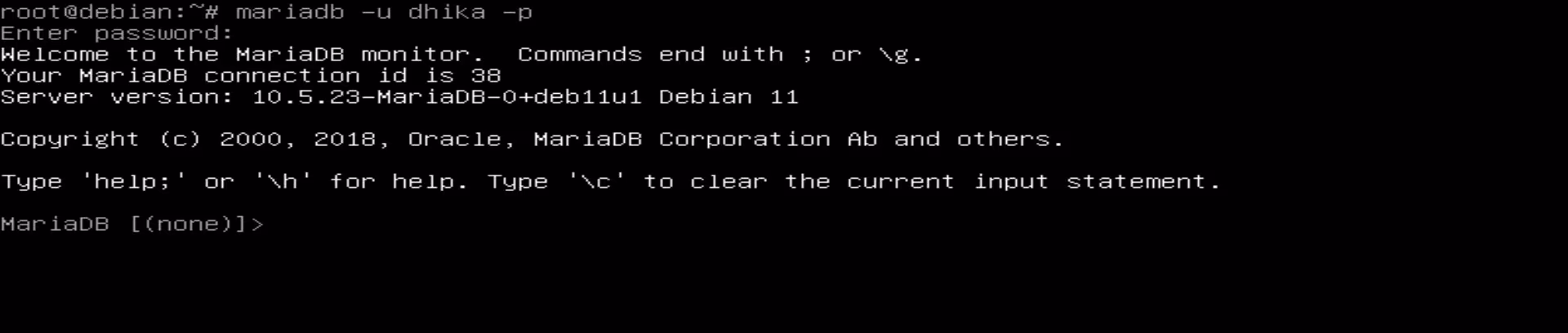 Panduan Lengkap Instalasi Database Server MySQL dan MariaDB di Debian untuk Kinerja Optimal