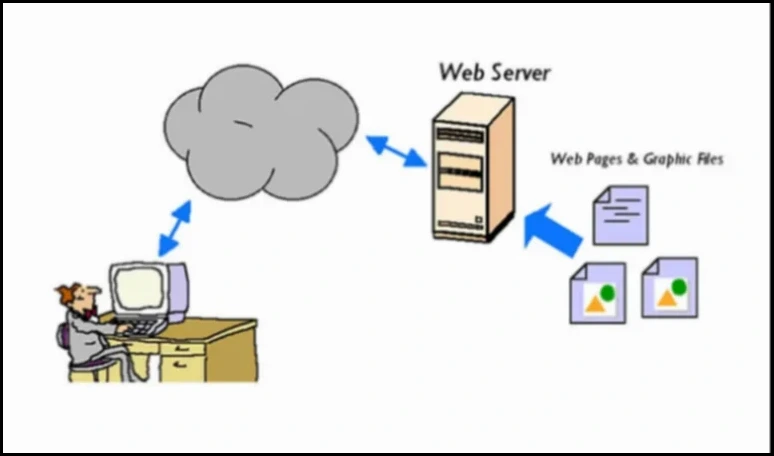 Cara Membuat Web Server Sendiri Panduan Lengkap dari Nol hingga Online