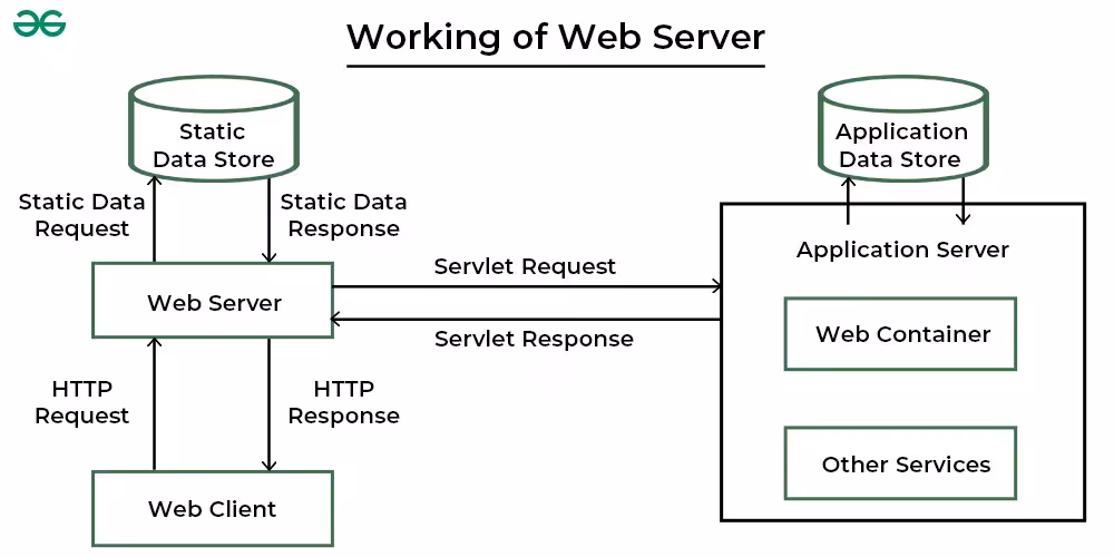 Panduan Lengkap Cara Install Web Server Apache dan Nginx di Linux dan Windows Server