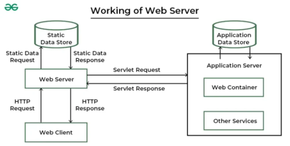 Panduan Lengkap Cara Buat Web Server Sendiri Dari Instalasi hingga Online Aman